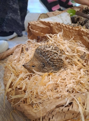 558099040_1379554050839016_2445592708318944049_n