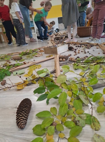 560391705_1379554194172335_7948561375251297105_n