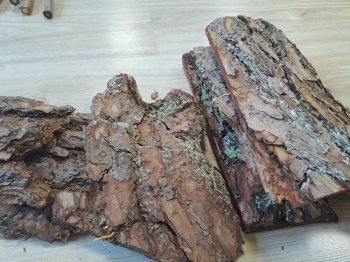 560600028_1379554340838987_8600880666179978343_n