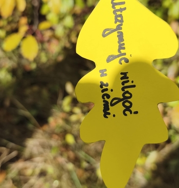 561626538_1379555600838861_7148015146231780651_n