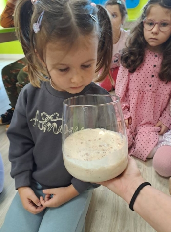 561649774_1385383240256097_8314379786008462032_n