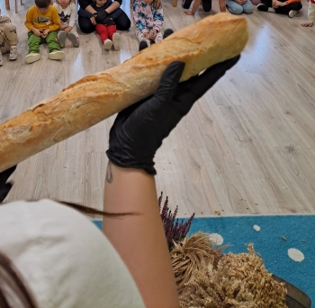 561662788_1385460910248330_6608647471874828062_n