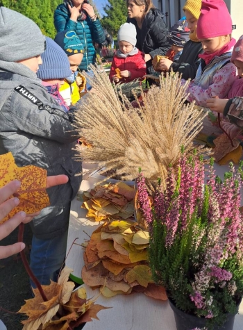 565713166_1390070803120674_793971659884411048_n