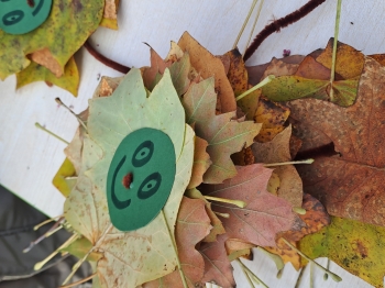 569274147_1390074463120308_2472978218661472538_n