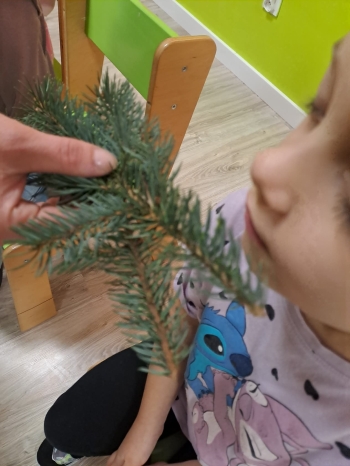 51953a9e-2c91-4aff-887d-618d0db82977.jpeg