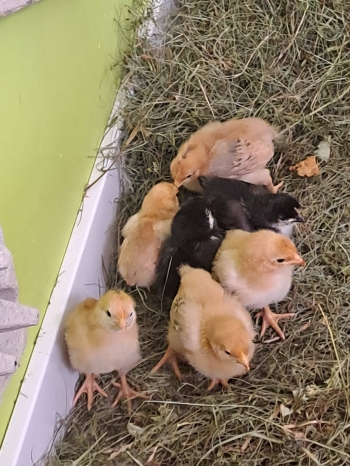 662266610_1530971555697264_5585070248182867432_n