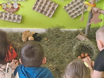 663129327_1530971495697270_6943788936510452817_n