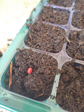 670695918_1541054218022331_1050613338489511245_n