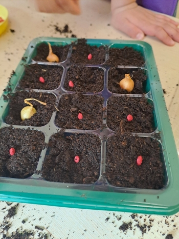 670720744_1541053721355714_8948521694843694106_n