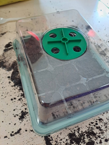 672230262_1541054858022267_1956373242478175835_n