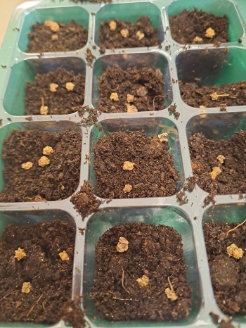 672677198_1541054784688941_2309646507357038482_n