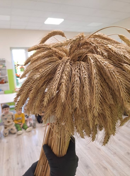 O zdrowym żywieniu, zbożach, ziarnach i chlebie.......