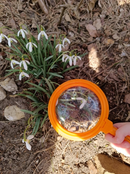 Spacer leśnymi ścieżkami a sąsiadem jest natura, NATURALNIE!!! - w poszukiwaniu wiosny 